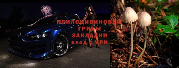 ГАЛЛЮЦИНОГЕННЫЕ ГРИБЫ Балахна