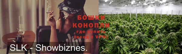 ГАЛЛЮЦИНОГЕННЫЕ ГРИБЫ Балахна