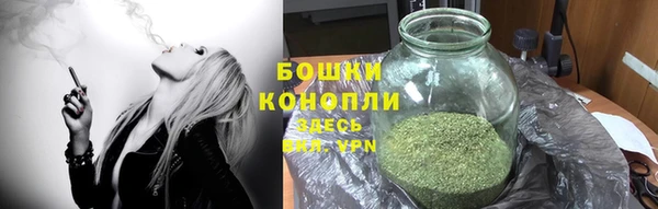шишки Балабаново