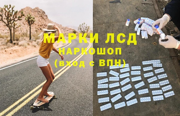ГАЛЛЮЦИНОГЕННЫЕ ГРИБЫ Балахна