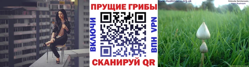 Галлюциногенные грибы прущие грибы  Новосиль 